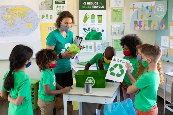 Sustainability Education: A Complete Guide to Basics and Key Insights