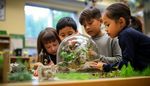 Green Education Initiatives: A Simple Guide to Sustainable Learning
