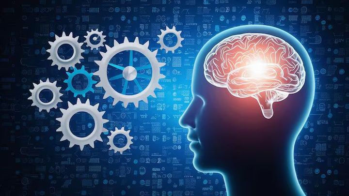Memory Improvement Techniques: A Complete Guide to Focus, Retention, and Cognitive Performance